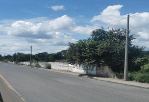 Foto de inmueble en Terreno EN Venta EN Santa FE  Delfino Victoria Veracruz, Col. Rancho Nuevo C.P. 92900, Tihuatlán