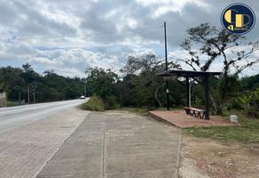 Foto de inmueble en Paso Ladrillo 1, Col. San Sebastián C.P. 92103, Tantoyuca