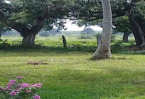 Foto de inmueble en 3 Garantías, Tampache, Col. Tamiahua C.P. 92583, Tamiahua