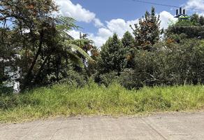 Foto de inmueble en , Col. Tlalnelhuayocan C.P. 91230, Tlalnelhuayocan