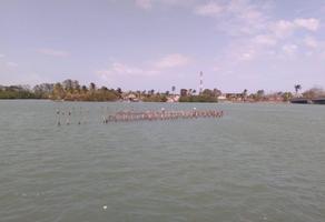 Foto de inmueble en Tampamachoco, Col. Túxpam de Rodríguez Cano Centro C.P. 92800, Tuxpan