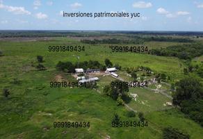 Foto de inmueble en , Col. Adolfo Lopez Mateos C.P. 97703, Tizimín