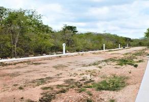 Foto de inmueble en , Col. Baca C.P. 97450, Baca