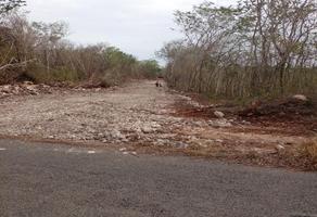 Foto de inmueble en calle 2, Col. Calotmul C.P. 97745, Calotmul