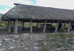 Foto de inmueble en calle 1, Col. Cenotillo C.P. 97640, Cenotillo