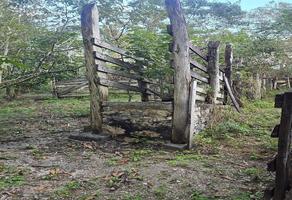 Foto de inmueble en SIn Calle a 3 km de Chemax, Yucatan, Col. Chemax C.P. 97770, Chemax