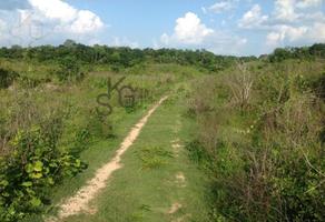 Foto de inmueble en Terreno en Venta en Chichén Itzá, Mérida, Yucatán, Col. Chichen-itza C.P. 97170, Mérida