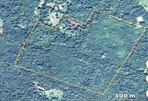 Foto de inmueble en Venta Terreno Escriturado EN Chichimila Valladolid, Yucatan, Col. Chichimila C.P. 97760, Chichimilá
