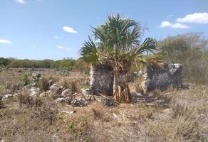 Foto de inmueble en DZILAM DE BRAVO, Col. Dzilam de Bravo C.P. 97606, Dzilam de Bravo