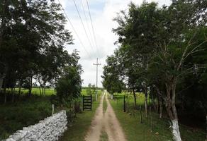 Foto de inmueble en , Col. Jose Maria Iturralde C.P. 97134, Mérida