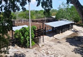 Foto de inmueble en 97610 Panabá, Yuc., México, Col. Panaba C.P. 97610, Panabá