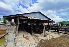 Foto de inmueble en , Col. Panaba C.P. 97610, Panabá