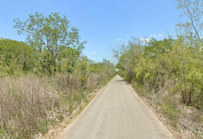 Foto de inmueble en carretera umán-bolón, Col. San Antonio Chun C.P. 97397, Umán