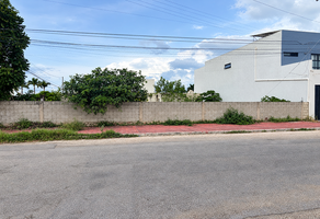 Foto de inmueble en calle 26, Col. San Pedro Cholul C.P. 97138, Mérida
