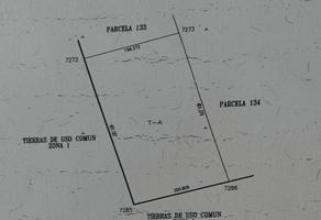 Foto de inmueble en Km 23, Col. Seye C.P. 97570, Seyé