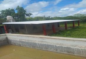 Foto de inmueble en calle 1, Col. Temax C.P. 97510, Temax