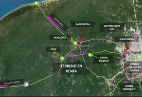 Foto de inmueble en Sobre carretera Tetiz, Col. Tetiz C.P. 97364, Tetiz