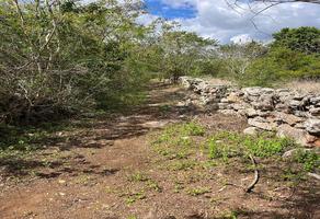 Foto de inmueble en Carretera TIXKOKOB, Col. Tixkokob C.P. 97470, Tixkokob