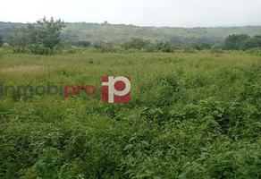 Foto de inmueble en A. Achichipico, Col. Achichipico C.P. 62823, Yecapixtla