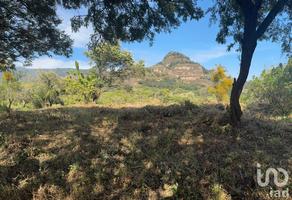Foto de inmueble en a un costado de carretera Tepoztlán - Santo Domingo Ocotitlán, Col. Santo Domingo Ocotitlán C.P. 62524, Tepoztlán