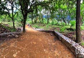 Foto de inmueble en a un costado de la carretera Tepoztlán - Santo Domingo Ocotitlán, Col. Santo Domingo Ocotitlán C.P. 62524, Tepoztlán