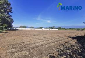 Foto de inmueble en Cuautla-Yautepec, Col. 24 de Febrero C.P. 62733, Yautepec