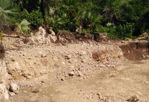 Foto de inmueble en SAN GASPAR, Col. Agua Fría C.P. 62555, Jiutepec