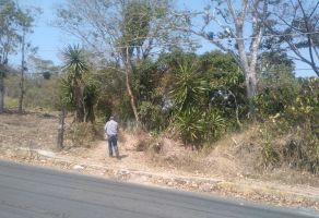 Foto de inmueble en constituyentes, Col. Constituyentes C.P. 91183, Xalapa