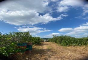 Foto de inmueble en  , Col. Abasolo Del Valle C.P. 95620, Playa Vicente