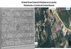 Foto de inmueble en 67610 Loma Prieta, N.L., Col. Loma Prieta C.P. 67610, Montemorelos