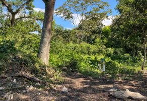 Foto de inmueble en HACIA CINCO PALOS, Col. Carolino Anaya (Espina Blanca) C.P. 91233, Tlalnelhuayocan