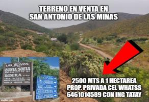 Foto de inmueble en TERRENO EN VENTA SAN ANTONIO DE LAS MINAS DE 2500 mts a 1 HA #s/n, Col. Las Lomas Residencial Campestre C.P. 22766, Ensenada