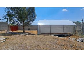 Foto de inmueble en  , Col. Acayuca C.P. 42191, Zapotlán de Juárez