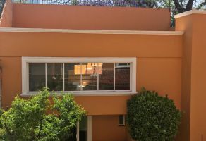Foto de inmueble en Lorenzo Rodriguez, Col. San José Insurgentes C.P. 03900, Benito Juárez