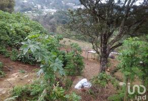 Foto de inmueble en Adolfo Lopez Mates #122, Col. Otilpan C.P. 91230, Tlalnelhuayocan