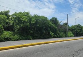 Foto de inmueble en Santa Rosa Treinta, Mor. #s/n, Col. San Miguel 30 C.P. 62776, Tlaltizapán de Zapata