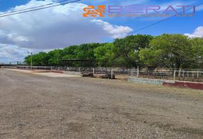Foto de inmueble en  , Col. Ahumada C.P. 32800, Ahumada