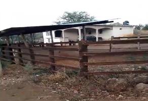 Foto de inmueble en  , Col. Aldama C.P. 89670, Aldama