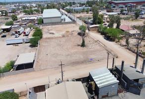 Foto de inmueble en Alfalfa, Col. Granjas Santa Cecilia C.P. 21386, Mexicali