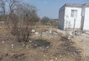Foto de inmueble en  , Col. Alpuyeca C.P. 62790, Xochitepec