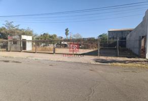 Foto de inmueble en Alvaro Obregon, Col. Reforma C.P. 85830, Navojoa