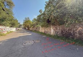 Foto de inmueble en Antiguo camino a san mateo Xalpa, Col. San Lucas Xochimanca C.P. 16300, Xochimilco