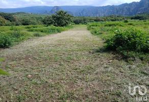Foto de inmueble en Antiguo camino Ixcatepec - Amatlán, Col. Amatlán de Quetzalcoatl C.P. 62525, Tepoztlán
