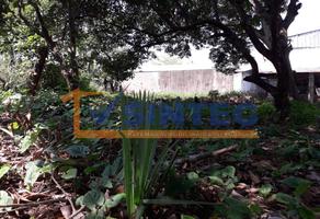Foto de inmueble en  , Col. Arroyo del Maíz Uno C.P. 93230, Poza Rica de Hidalgo