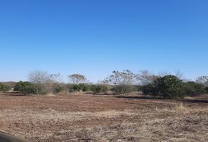 Foto de inmueble en  , Col. Atongo de Abajo C.P. 67460, Cadereyta Jiménez