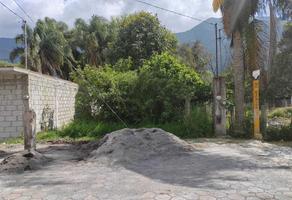 Foto de inmueble en  , Col. Aurora C.P. 94720, Nogales