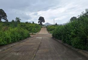 Foto de inmueble en Av. de los Pinos, Col. Juventino Rosas C.P. 61605, Pátzcuaro