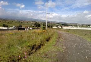 Foto de inmueble en Av. de los Pinos, Col. El Tepetatal C.P. 50906, Almoloya de Juárez