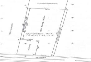 Foto de inmueble en Av Juárez, Col. Coyula C.P. 45410, Tonalá