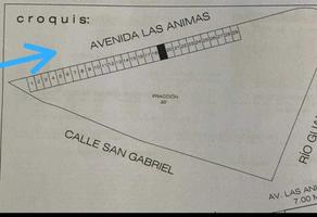 Foto de inmueble en Av. Las Ánimas, Col. Las Fuentes C.P. 36515, Irapuato